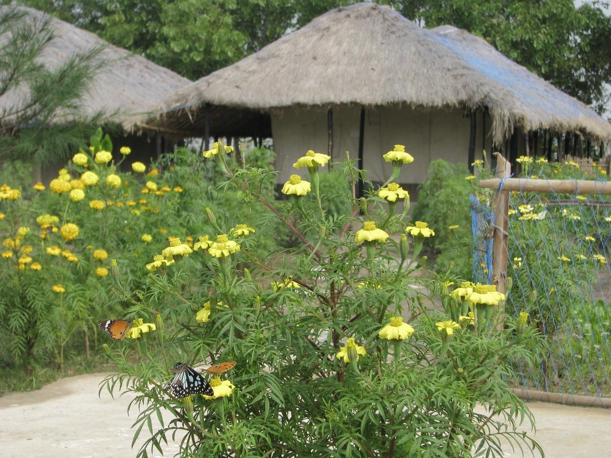 Estuarine Village Resort Sātabhāya 외부 사진